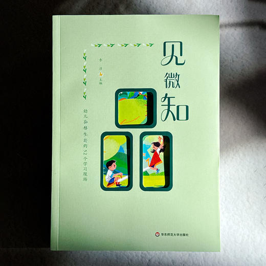 见微知品 幼儿品格生长的52个学习现场 幼儿园园本课程实践经验 商品图1