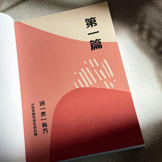 见微知品 幼儿品格生长的52个学习现场 幼儿园园本课程实践经验 商品图8
