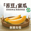 苦豆蜜瓜 新疆三塘湖哈密瓜 绿色食品认证 地理标志认证 全国名特优新农产品 熊猫指南二星 商品缩略图2
