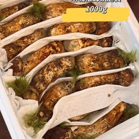 秘境塔城松茸