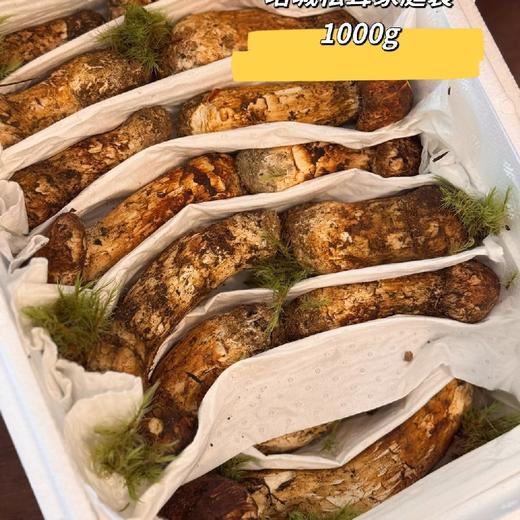 秘境塔城松茸 商品图0