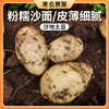 农家沙地土豆 1斤   粉糯清香  沙面皮薄  新土豆洋芋 商品缩略图0