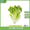 有机意大利生菜 商品缩略图0
