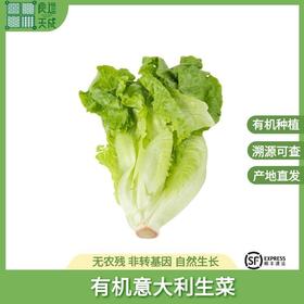 有机意大利生菜