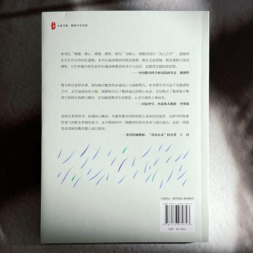 教育是一场自我修行 新时代教师专业发展智慧 大夏书系 教师专业发展 商品图2
