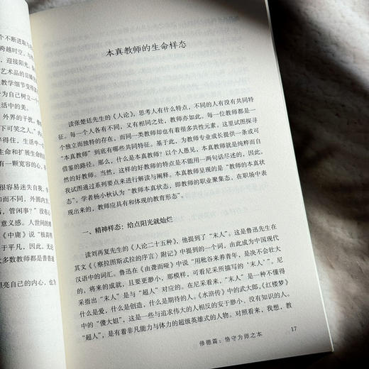 教育是一场自我修行 新时代教师专业发展智慧 大夏书系 教师专业发展 商品图10