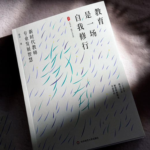 教育是一场自我修行 新时代教师专业发展智慧 大夏书系 教师专业发展 商品图4