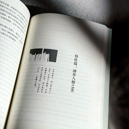 教育是一场自我修行 新时代教师专业发展智慧 大夏书系 教师专业发展 商品图11