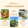 热卖！【养足700天！汤黄肉嫩！】泰山黄油老母鸡 2.5-2.7斤/只*2只 生鸡肉 商品缩略图2