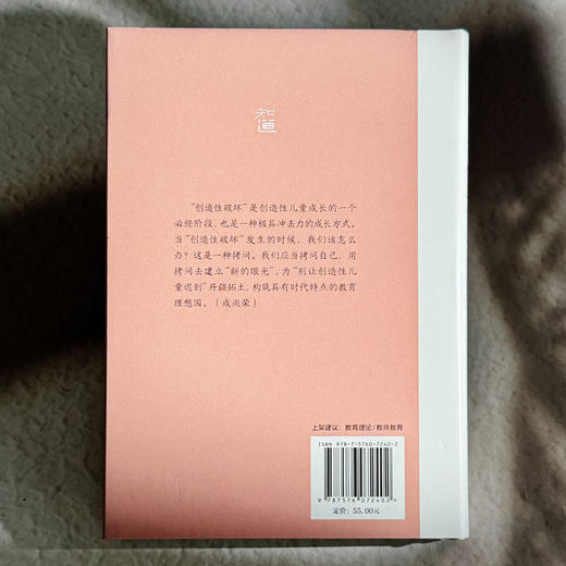 别让创造性儿童迟到 大夏书系 知道 成尚荣 商品图2