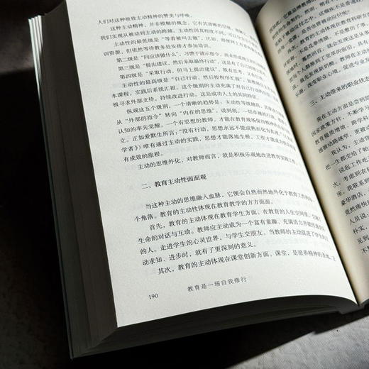 教育是一场自我修行 新时代教师专业发展智慧 大夏书系 教师专业发展 商品图12