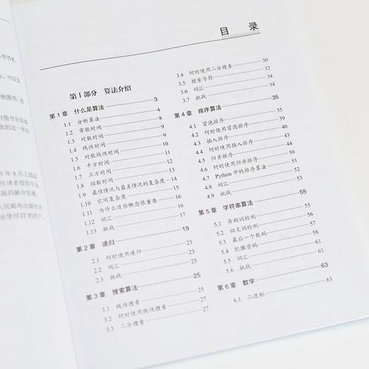 数据结构和算法无师自通 Python 自学 技术面试 编程入门 递归 软件工程师 编程求职 商品图1