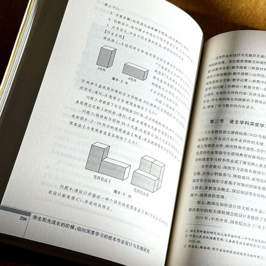 学生阳光成长的阶梯 指向深度学习的校本作业设计与实施研究 谢励 商品图13
