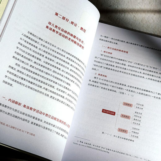 见微知品 幼儿品格生长的52个学习现场 幼儿园园本课程实践经验 商品图11