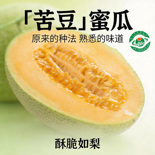 苦豆蜜瓜 新疆三塘湖哈密瓜 绿色食品认证 地理标志认证 全国名特优新农产品 熊猫指南二星 商品图1