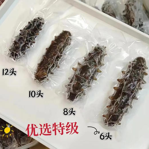 热卖中！！【顺丰直发】忘舌特级鲜食海参 6头帝王参 免泡发 500g/包 商品图2