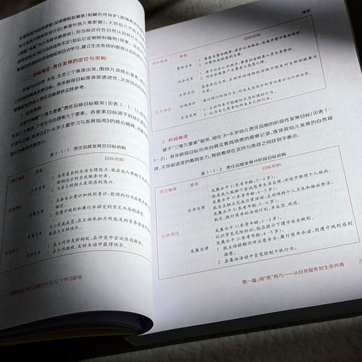 见微知品 幼儿品格生长的52个学习现场 幼儿园园本课程实践经验 商品图12
