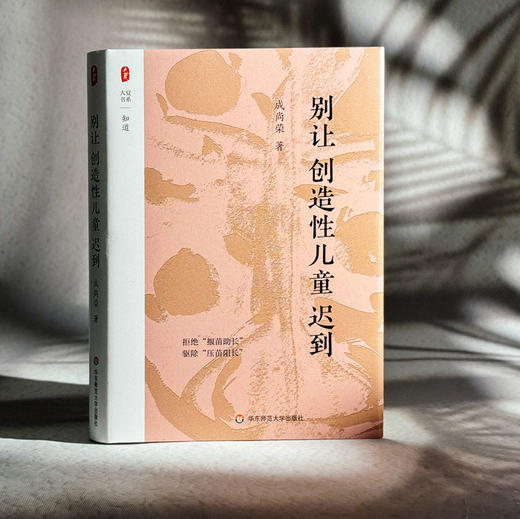 别让创造性儿童迟到 大夏书系 知道 成尚荣 商品图3