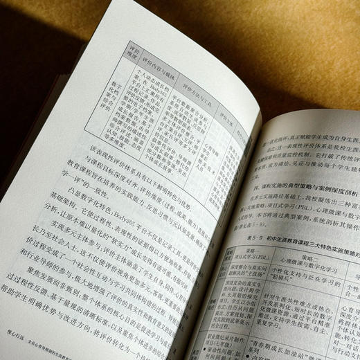 悦心行远 全员心育导师制的生涯教育实践 朱萍 商品图12