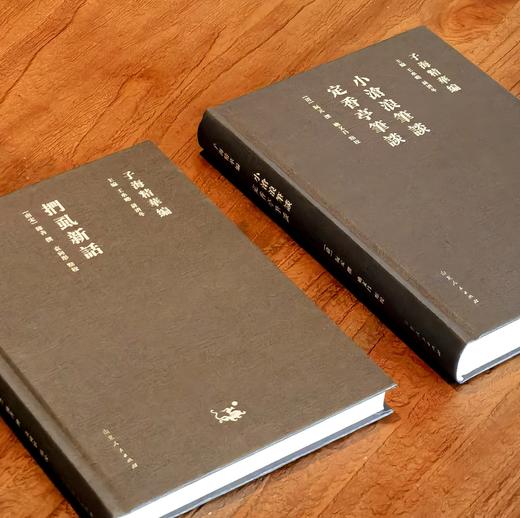 【特惠2.5折】子海精华编：《小沧浪笔谈 定香亭笔谈》《扪虱新语》，精装，32开，[清]阮元、[南宋]陈善著，山东人民出版社2018年一版一印，372+202页，两册定价：130，售价：32元。 商品图1