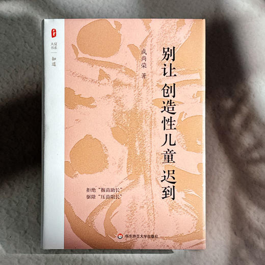 别让创造性儿童迟到 大夏书系 知道 成尚荣 商品图1