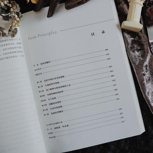 万千心理·第一性原则：精神分析实践中的应用伦理学【首发限量赠“守护伦理栖所”主题亚克力冰箱贴+特种纸异形卡】 商品图10