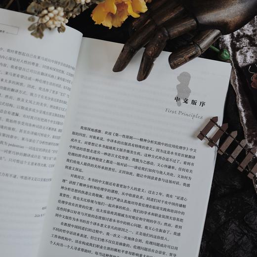 万千心理·第一性原则：精神分析实践中的应用伦理学【首发限量赠“守护伦理栖所”主题亚克力冰箱贴+特种纸异形卡】 商品图11