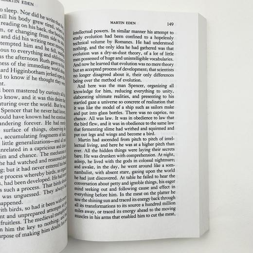 马丁伊登 英文原版小说 Martin Eden  杰克伦敦 英文版进口书籍 商品图2