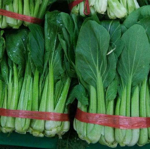 【YMHR】小油菜  炒菜火锅 商品图2