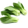 【YMHR】小油菜  炒菜火锅 商品缩略图1