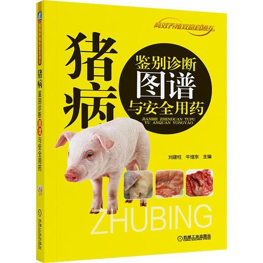 猪病鉴别诊断图谱与安全用药 商品图0
