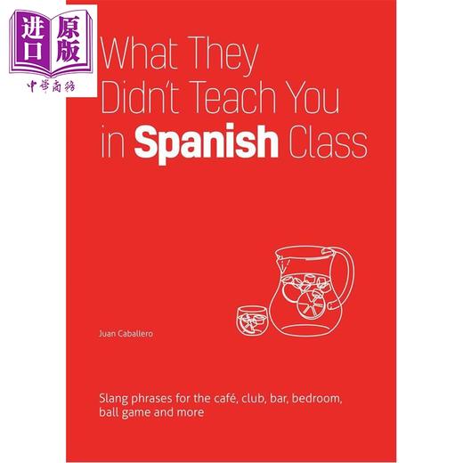 【中商原版】西班牙语课没教的东西 日常场景俚语表达 What They Didnt Teach You in Spanish Class 英文原版 Juan Caballero 商品图0