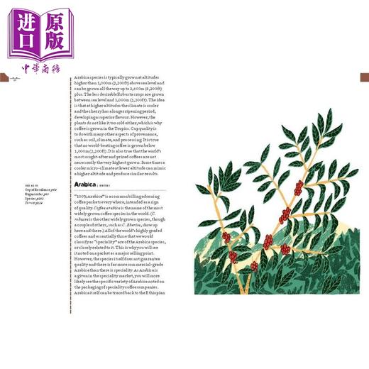 【中商原版】咖啡字典 Coffee Dictionary An A-Z of Coffee 英文原版 Maxwell Colonna Dashwood 咖啡百科全书指南  商品图4