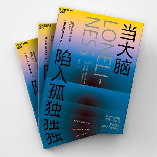 当大脑陷入孤独 解惑孤独，重掌人生的幸福 商品图2