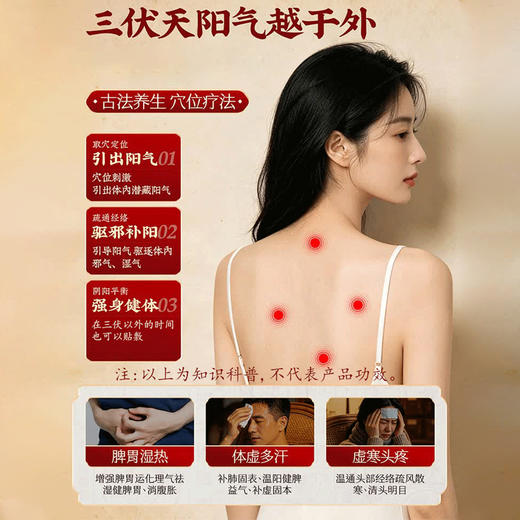 【甄选草本】宝芝林 三伏贴 6贴/盒 草本贴敷温和养护 商品图2
