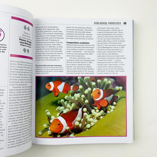 DK生态学百科图解 英文原版 The Ecology Book DK人类的思想百科丛书 科普百科 英文版原版书籍 精装 进口英语书 商品图3