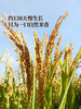 聚便利 x 山姆 Member's Mark 黑土小町香米 分装 5kg/袋 商品缩略图4