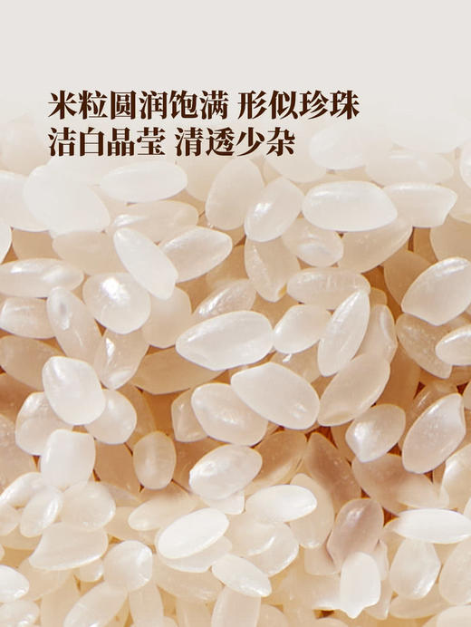 聚便利 x 山姆 Member's Mark 黑土小町香米 分装 5kg/袋 商品图3