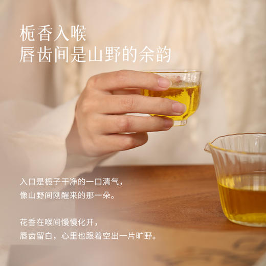 栀子佛手茶 熬夜火 佛手 玫瑰茯苓清凉 组合茶包 商品图1