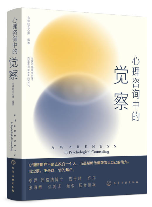 心理咨询中的觉察 商品图0