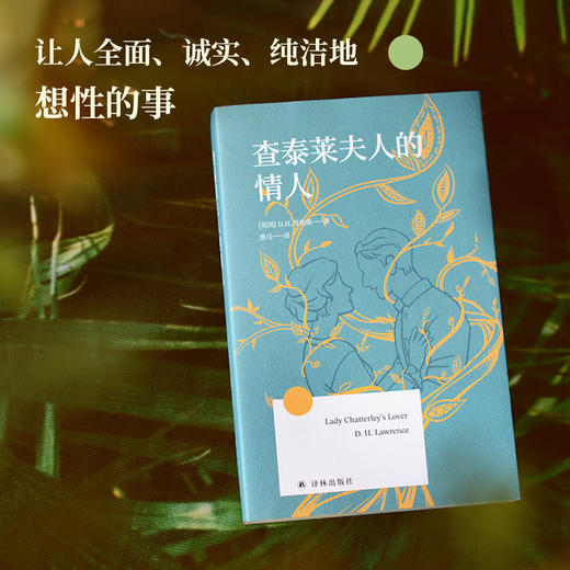 【方寸经典】查泰莱夫人的情人 商品图1