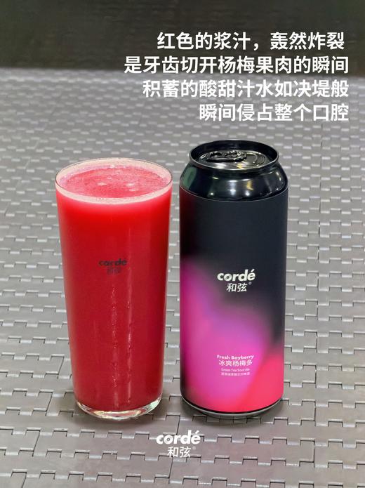 和弦 冰爽杨梅多 500ml 商品图1