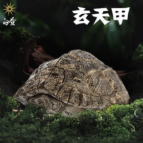 白昼 - “玄天甲” 铜龟壳造型摆件 潮玩把件 乌龟爬宠文创周边 ★官方正版【48小时发货】