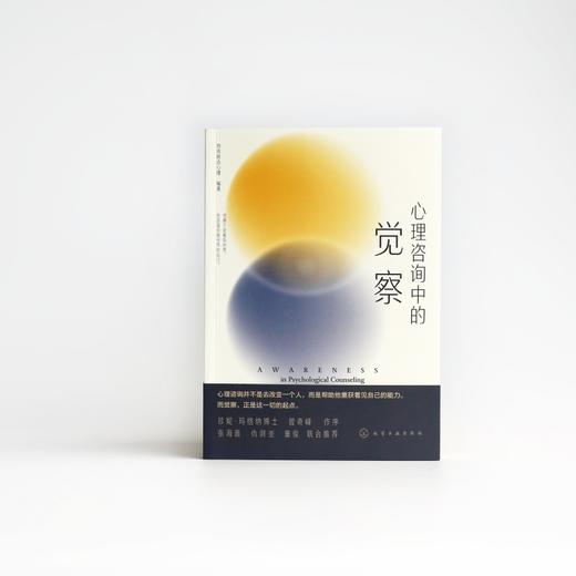 心理咨询中的觉察 商品图2