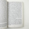 百种神秘感觉 英文原版小说 The Hundred Secret Senses 百种隐秘感官 谭恩美 Amy Tan 英文版进口书正版 商品缩略图3
