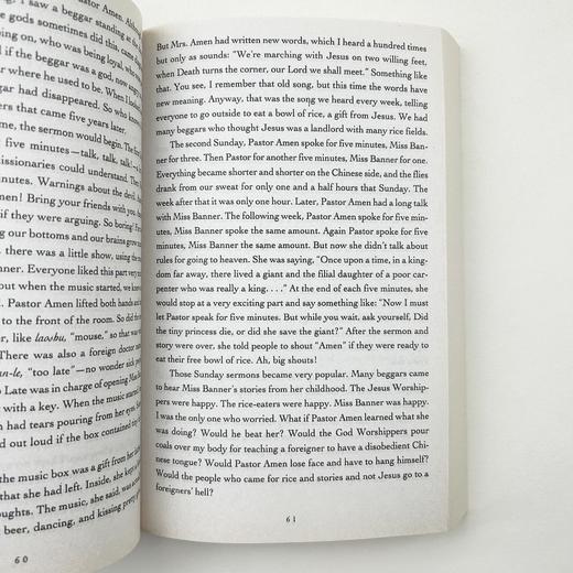 百种神秘感觉 英文原版小说 The Hundred Secret Senses 百种隐秘感官 谭恩美 Amy Tan 英文版进口书正版 商品图3