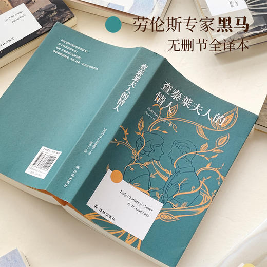 【方寸经典】查泰莱夫人的情人 商品图2