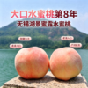 【大口水蜜桃第8年】无锡湖景蜜露水蜜桃 商品缩略图0