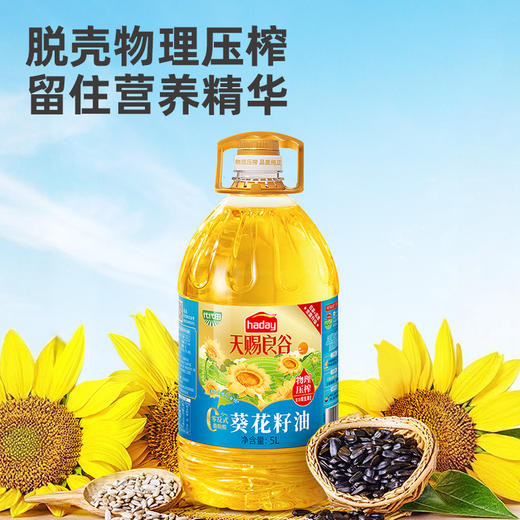 海天味业保证 葵花籽油5L物理压榨不含抗氧化剂 商品图2