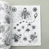 自然界的艺术形式 英文原版 Art Forms in Nature 恩斯特海克尔 科普读物 生物科学 英文版进口原版英语书籍 商品缩略图4